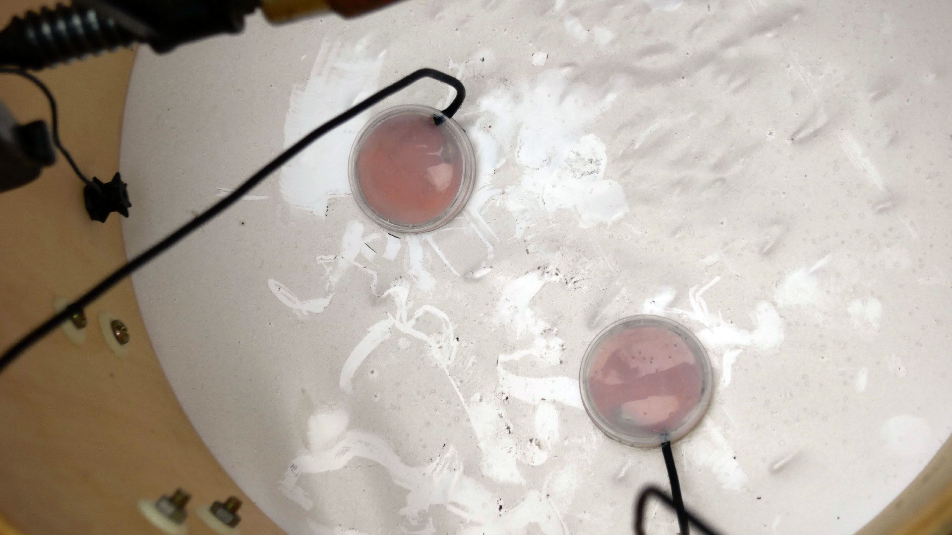 2023-12-11 Regen auf Trommeln (Audio)